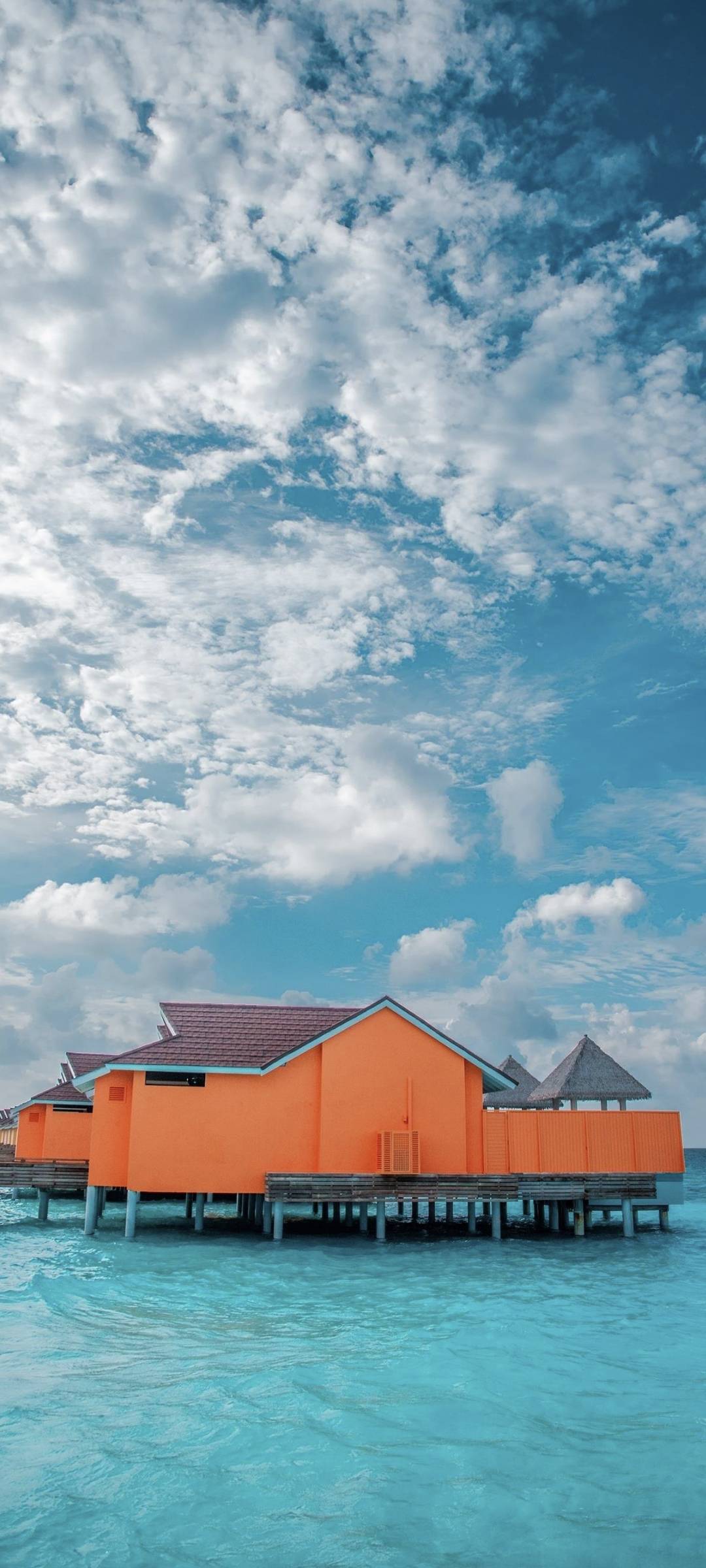 1080_2400竖版 竖屏