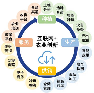 乡村振兴主题报告农业产业链现状与动向及建议