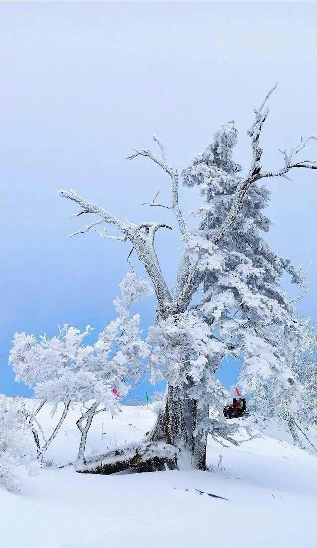如何把雪景照片拍漂亮?学习风光摄影技巧,让照片不再平庸-懂百科