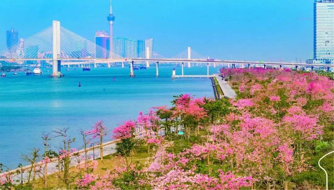 十里花海长廊横琴商业配套如今已经齐备,励骏庞都广场,创新方,横琴