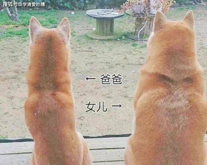 原创
“昨晚和喜欢的女生看电影,做了一件很浪漫的事,结果她把我拉黑了?”