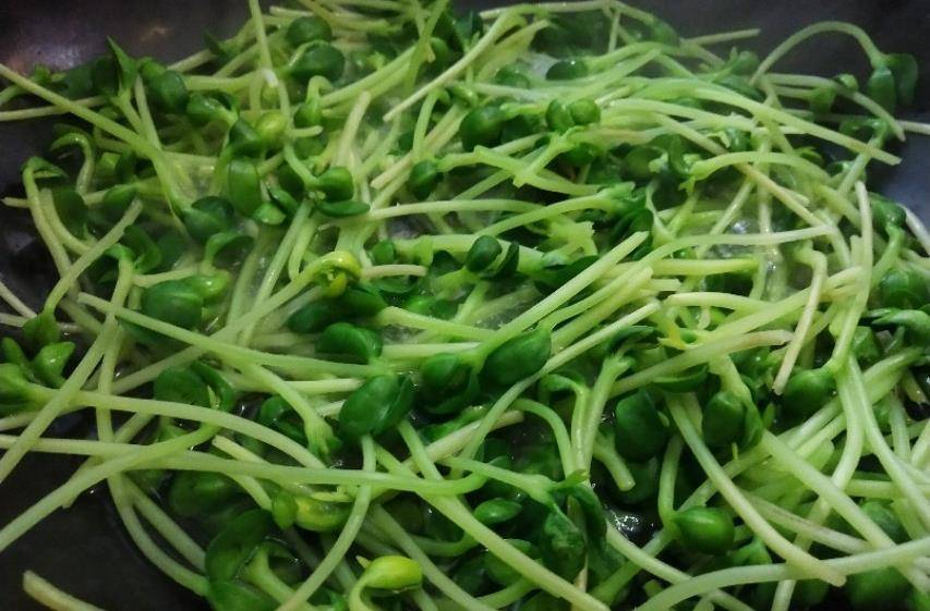 原创青豆芽不炒不炖学会简单做法香辣爽口超下饭就是这个味