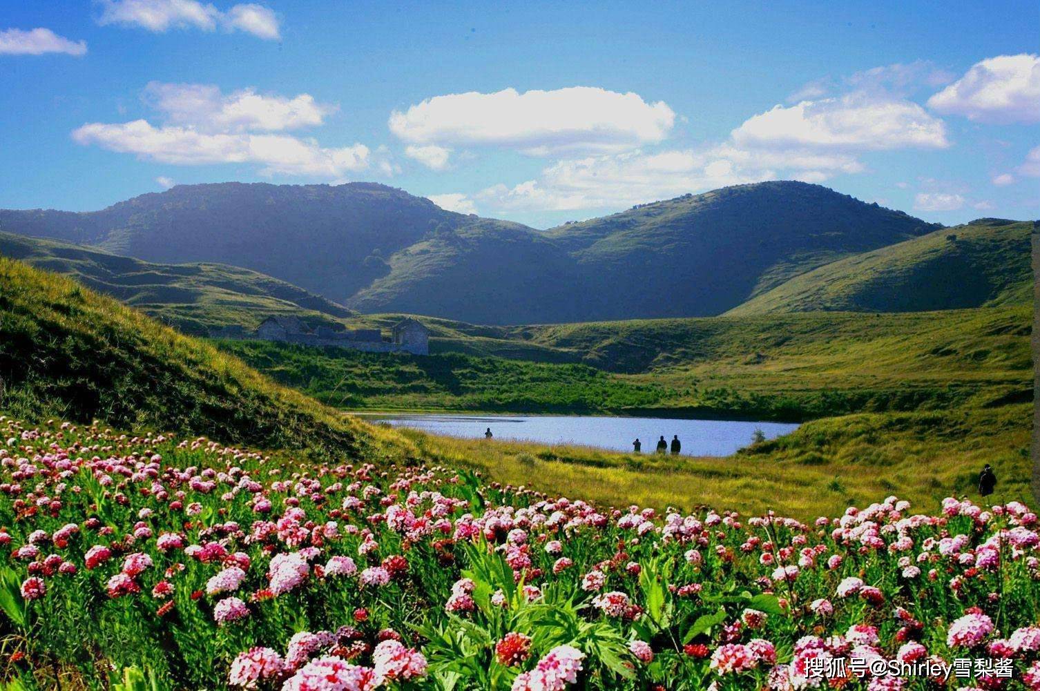 山西藏着个“小新疆”，花海湖泊草甸似仙境，不收费的满分避暑地