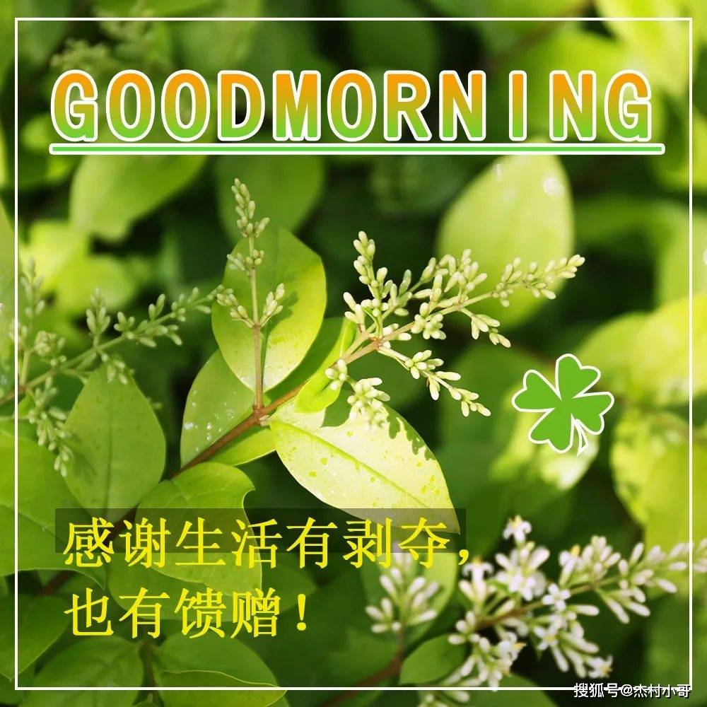 原创早上好朋友夏季最美早安问候语动态表情图片最新漂