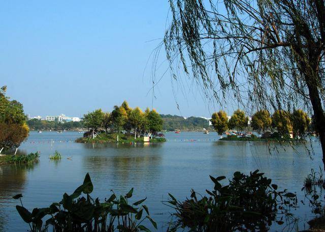 我国被“忽略”的湖泊，是广州最大的人工湖，门票免费却少有人知