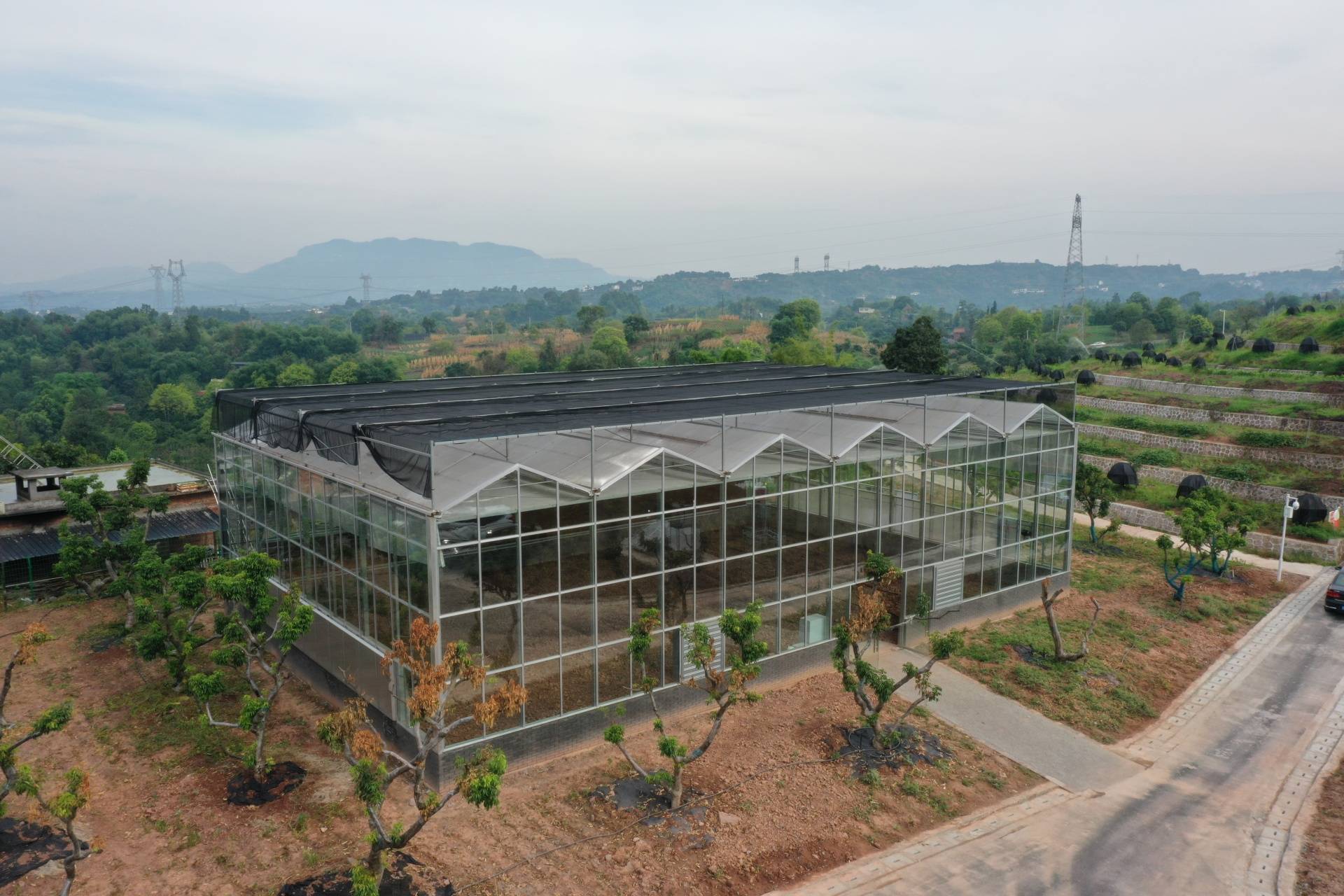 合江世界晚熟荔枝种质资源保护创新基地揭牌运营_科技队伍_产业_国家