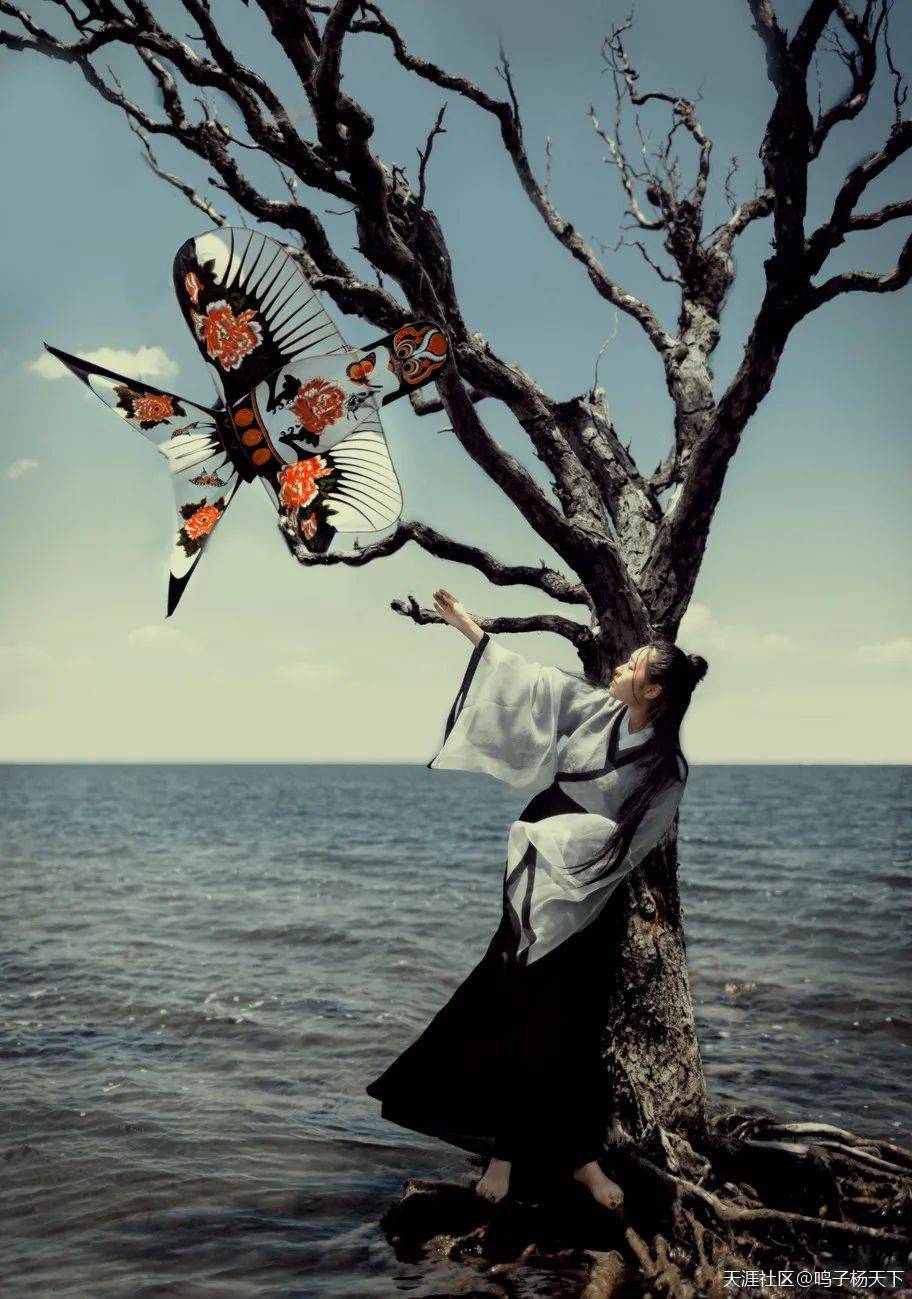 一位曾梦想仗剑走天涯的女侠客