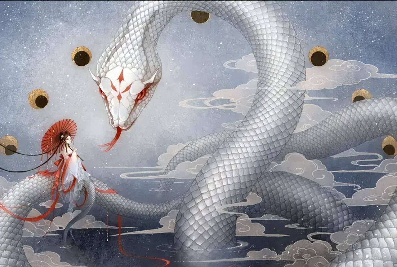 梦境中的启示，我梦见我打死一条大白蛇，后来几人分食的深层含义