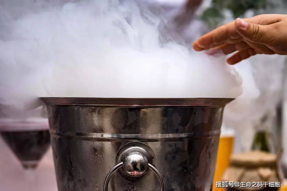 細胞為什麼要凍存於196度的液氮中生命之碼