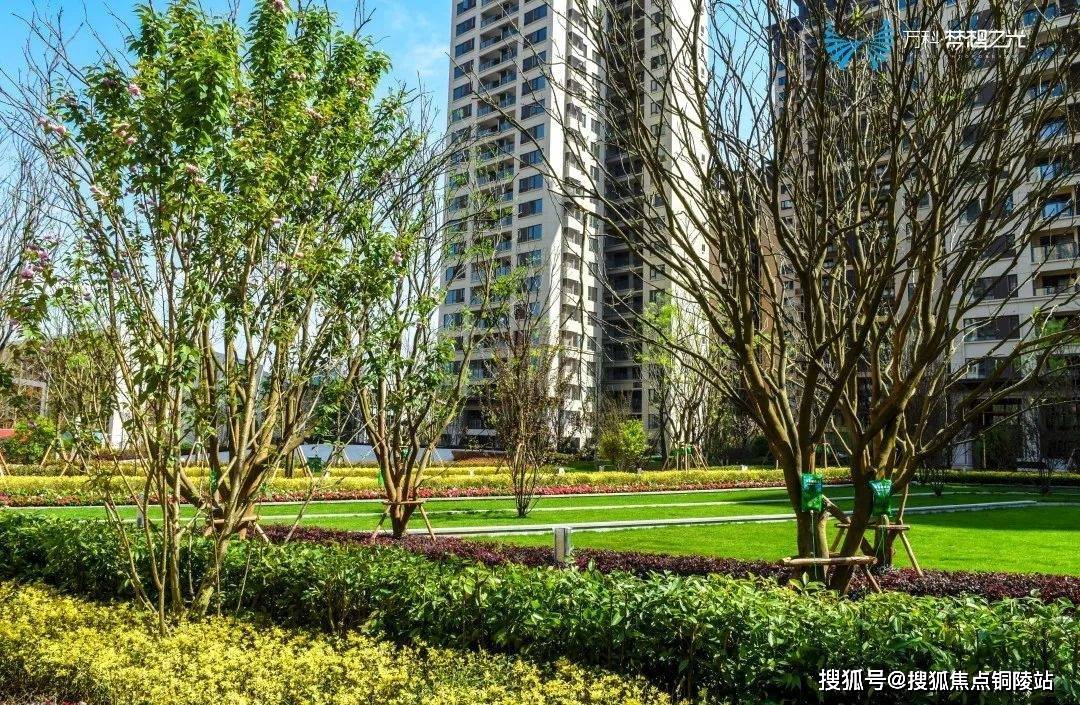 生活_仁寿_大城市