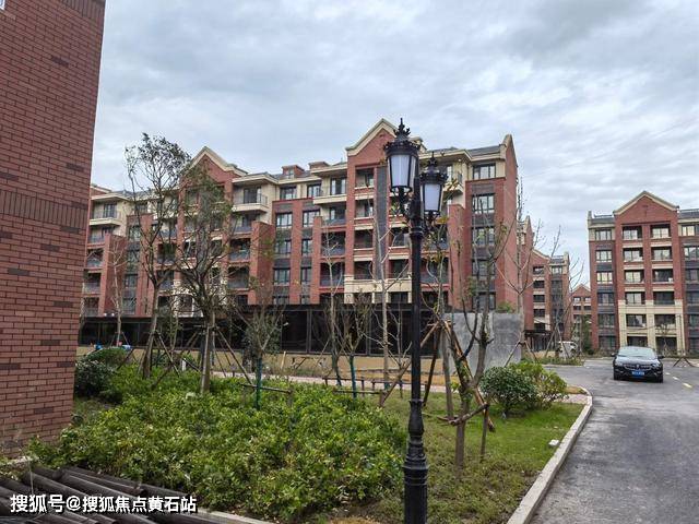 崇明岛大爱城楼盘详情及价值_搜狐网
