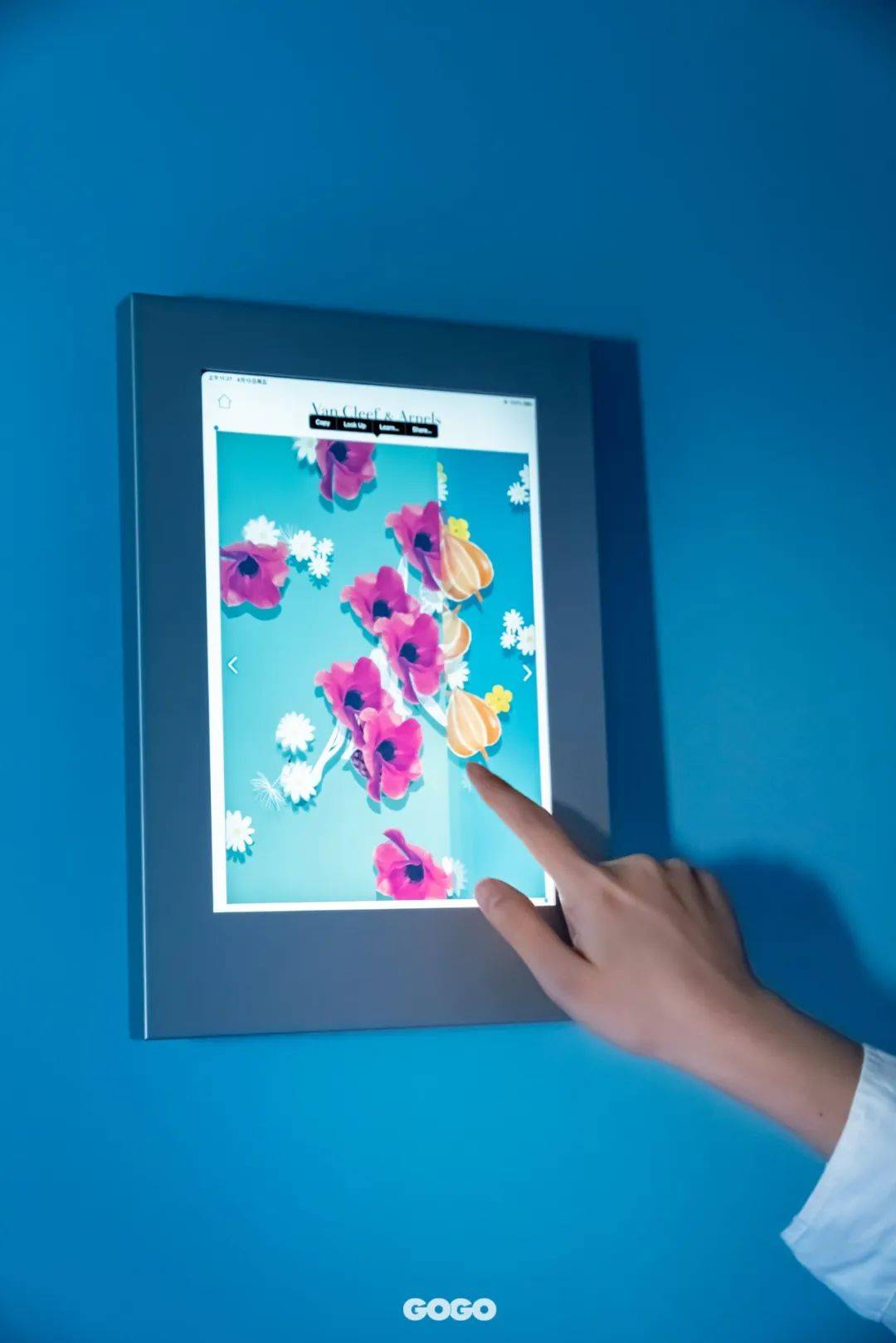 ����֮������Ϻ�������ű������Ʒ����չ����Խ���������