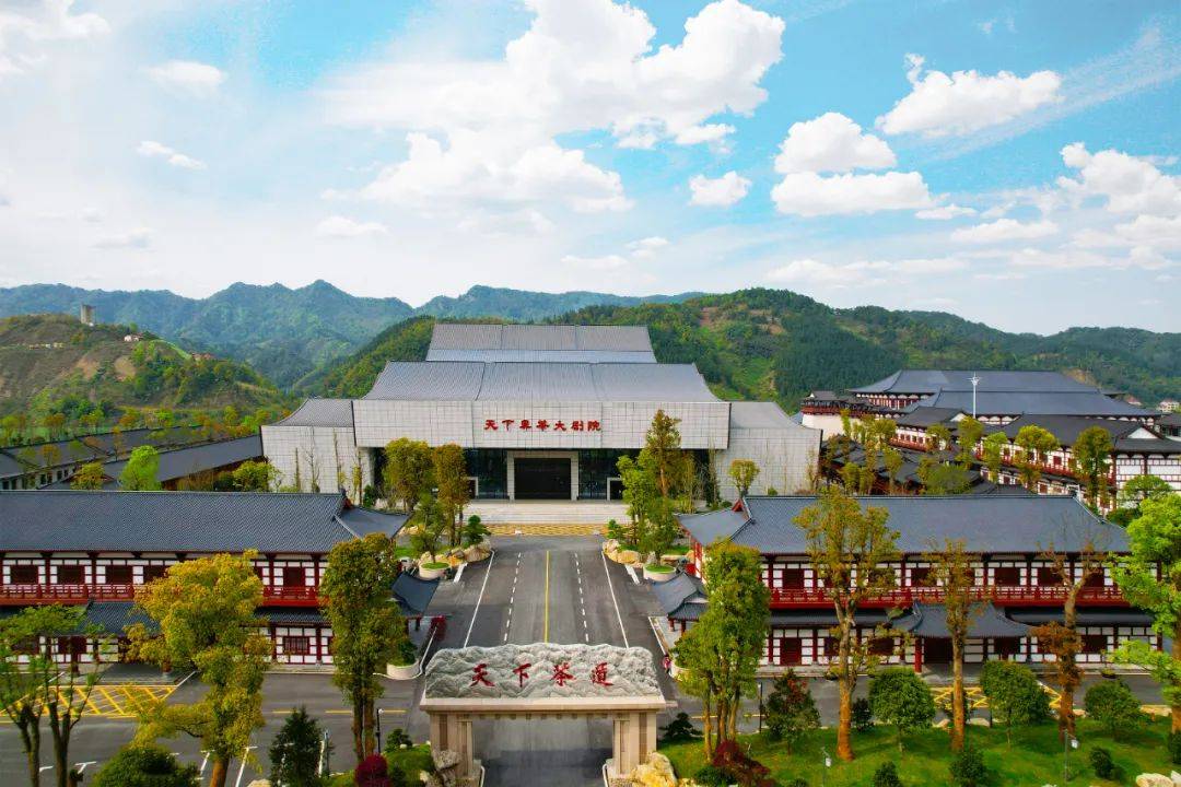 理想华莱刘仲华院士安化黑茶的价值是喝出来的