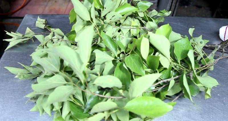 原创朴籽粿潮汕人清明节不可或缺的抹茶蛋糕