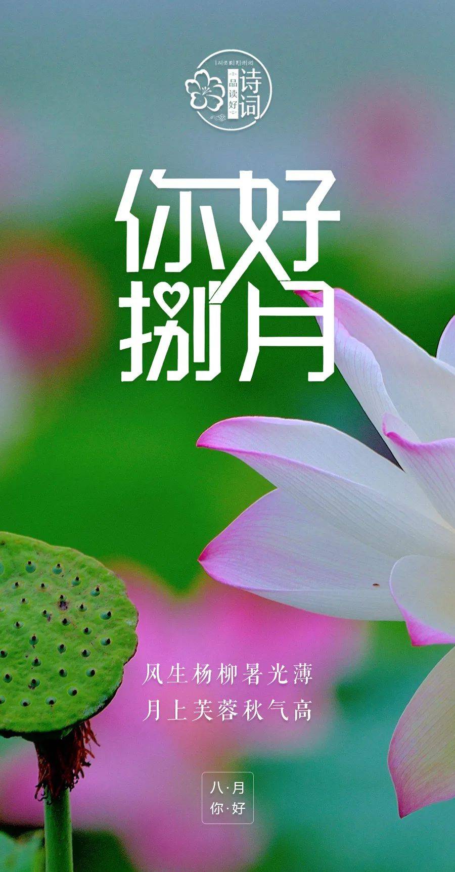 原创美文美图八月你好生活从未被定义热浪翻滚奋勇向前