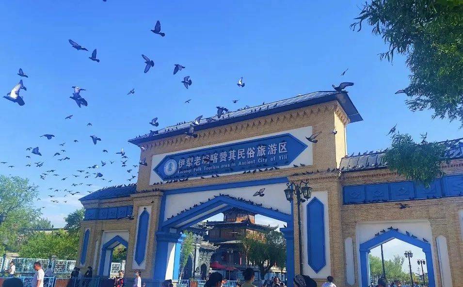 伊犁蓝丨一种未曾见过的浪漫_蓝色_sinka_成为了