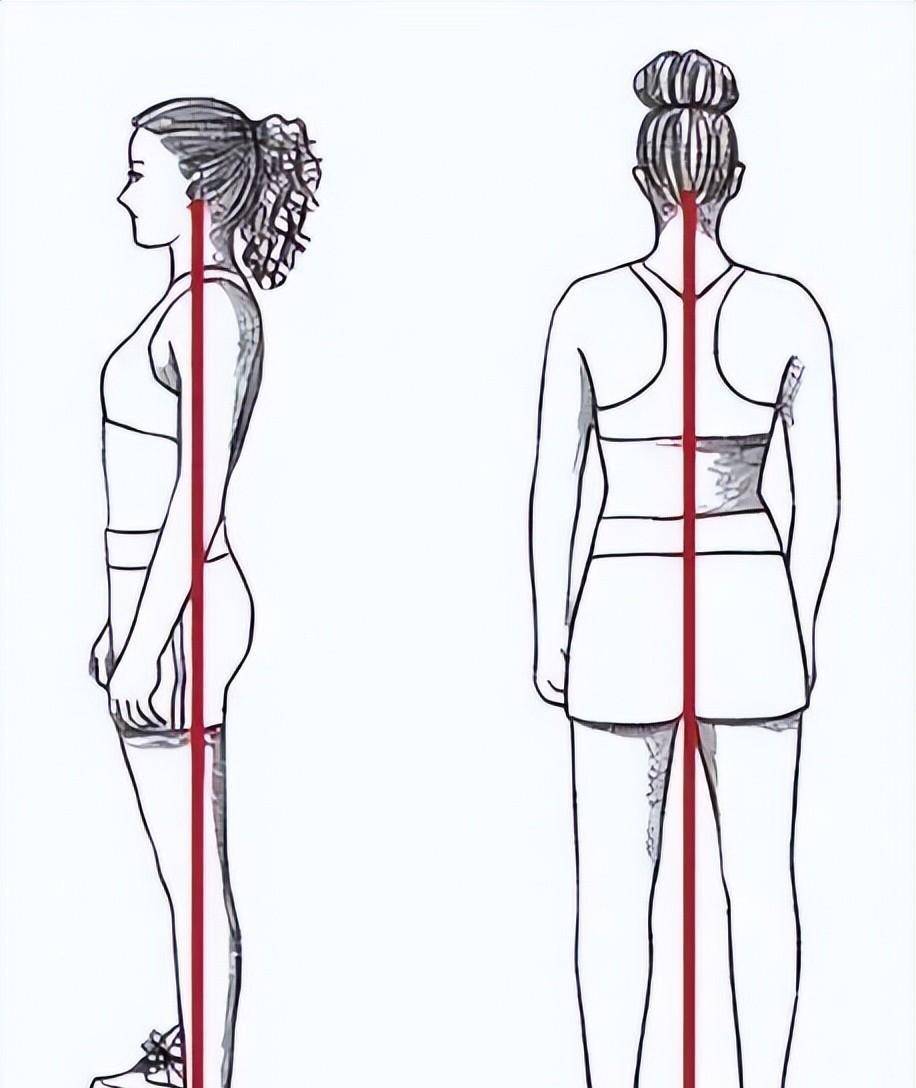 保持骨盆中立位(骨盆没有向后转动过远,也没有向前倾斜),对体态,平衡