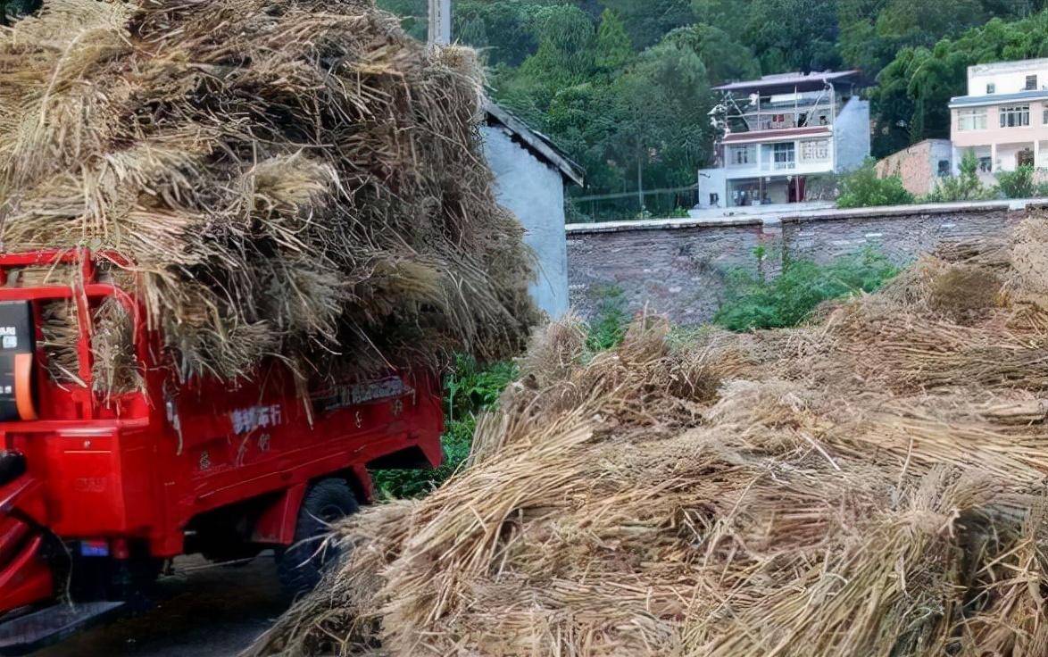 原创10年前农村面貌带你回味小时候的农村