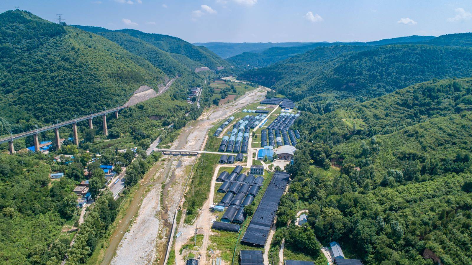 小小香菇,寄托着耀州区庙湾人民脱贫致富的希望_庙湾镇_产业_条件