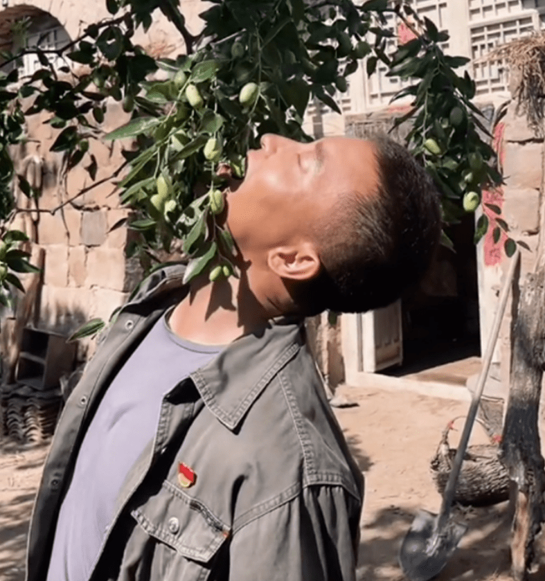40岁的张铎回陕西老家拍戏，住窑洞啃树枣，声称像回到了童年-舞儿网