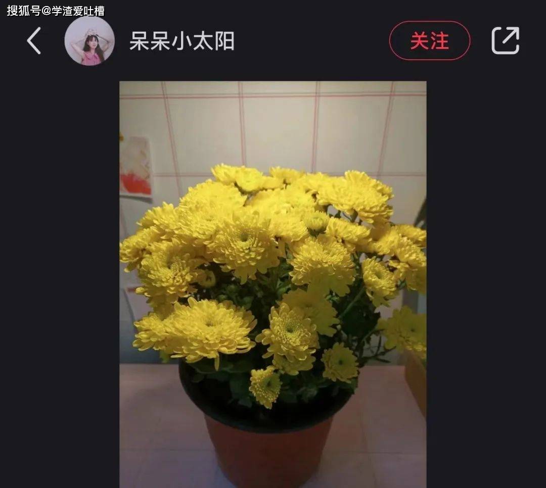 “当你收到男票送的盗版礼物…好家伙棋逢对手啊!!”
