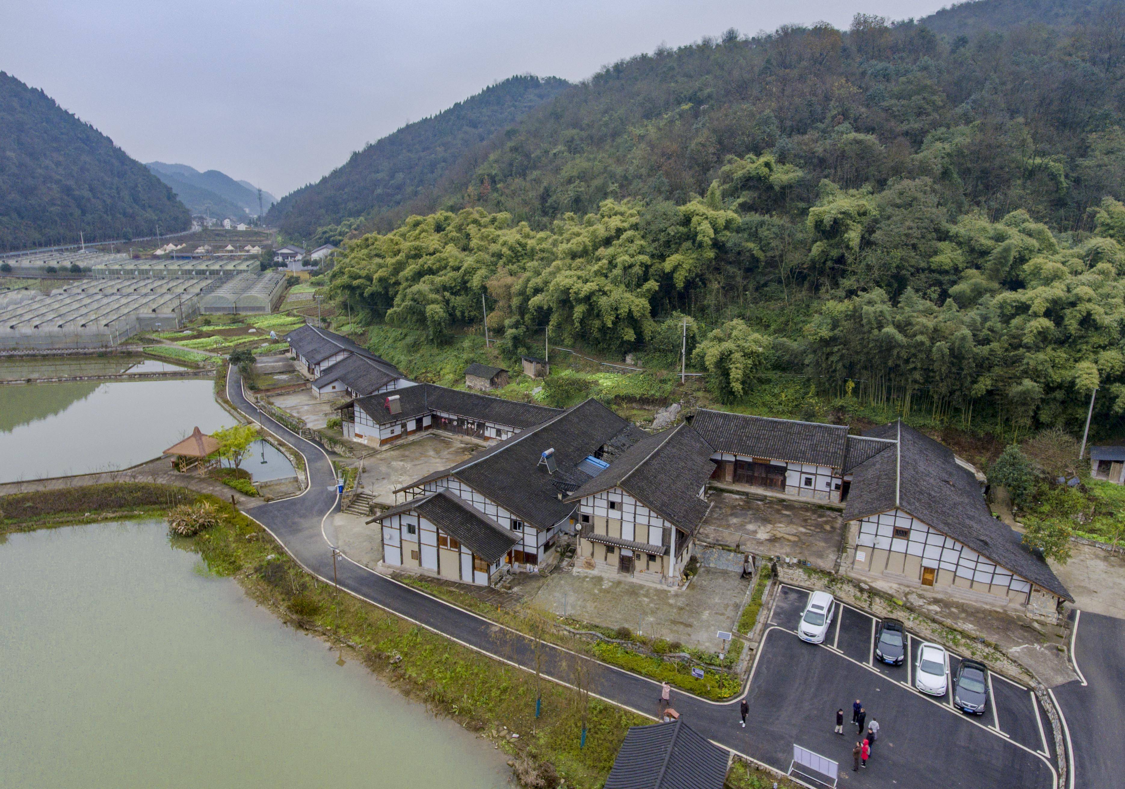 新春走基层 - 渝北区“四山”区域农村人居环境整治推进乡村振兴