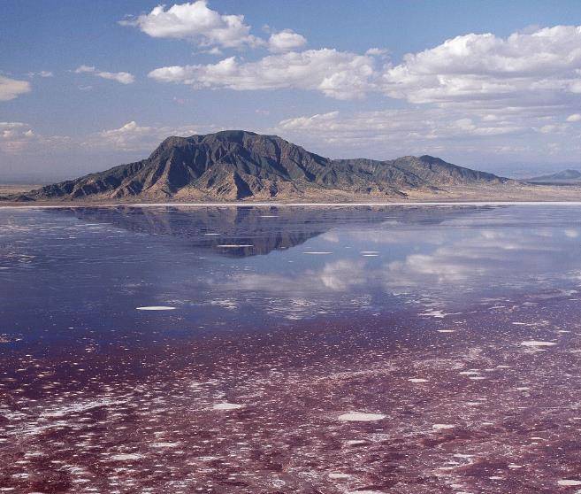 非洲神秘的“冥河”，颜色光鲜亮丽，动物靠近就变“化石”