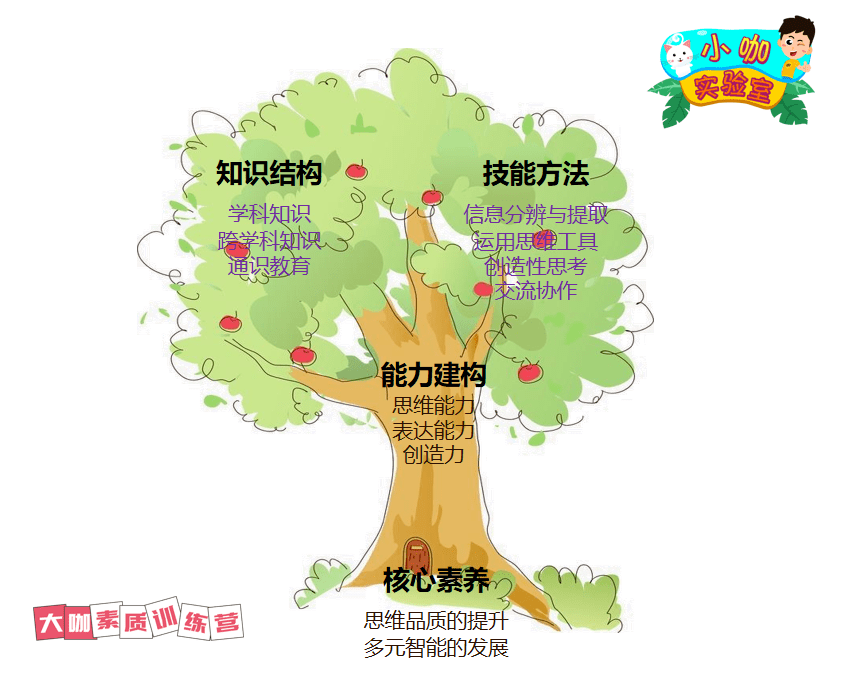 大咖素质训练营：走进小咖实验室，带你爱上科学探索！
