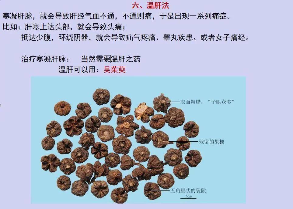 中医:治肝6个方法,立竿见影_人体_肝风_筋脉