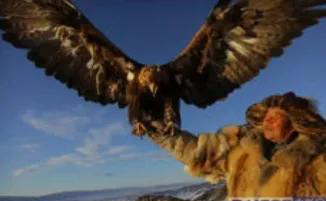 豆瓣高分纪录片排行榜_豆瓣评分最高的十部纪录片