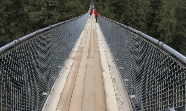 世界上最梦幻的一座长桥，从森林顶部70米处穿越，可承载三百吨