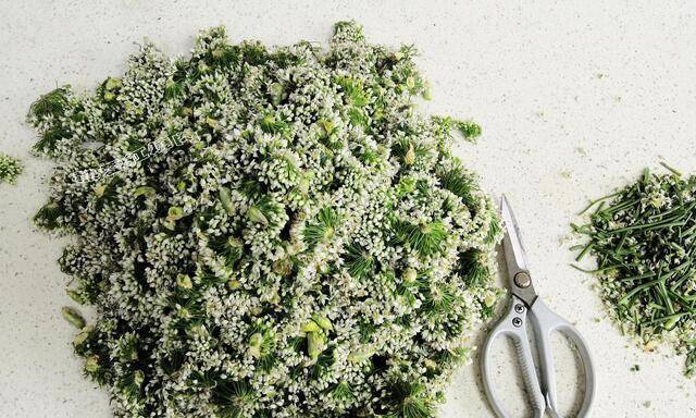 买的韭菜花酱稀汤寡水的还不纯想吃的话还是自己做吧绝对干货