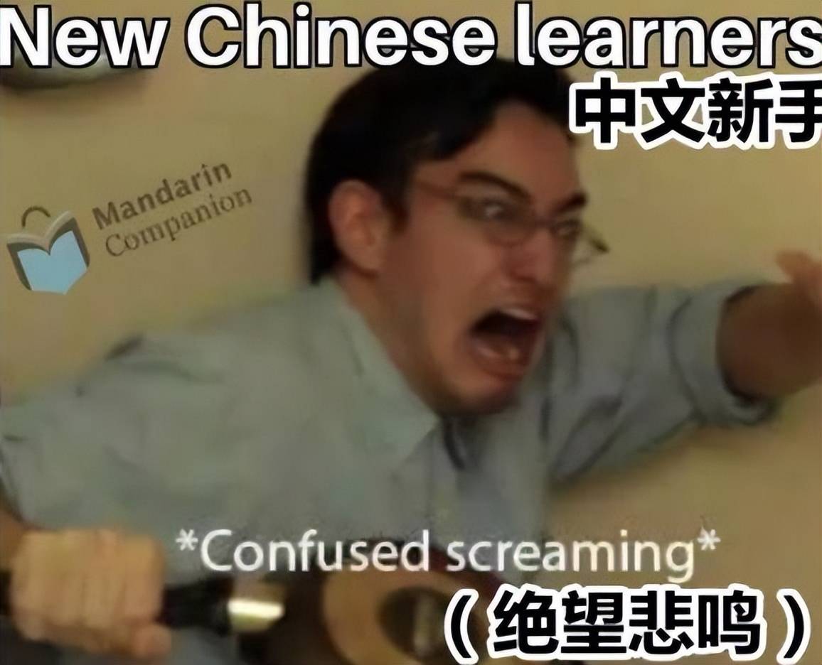 外国学生用梗图吐槽中文难学，看后心生同情，可谓是天道有轮回_搜狐网