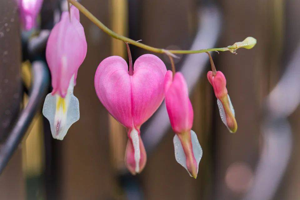 2022冷年空调企业不容易,海尔却闯出两条价值赛道-家电圈官网