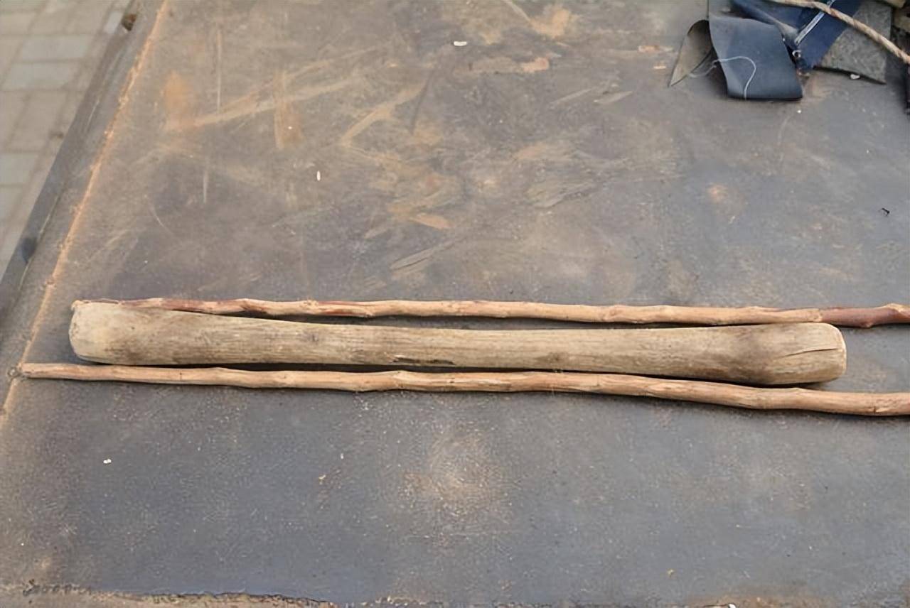 故乡的棍子们_木棍_枝子_玉米秸