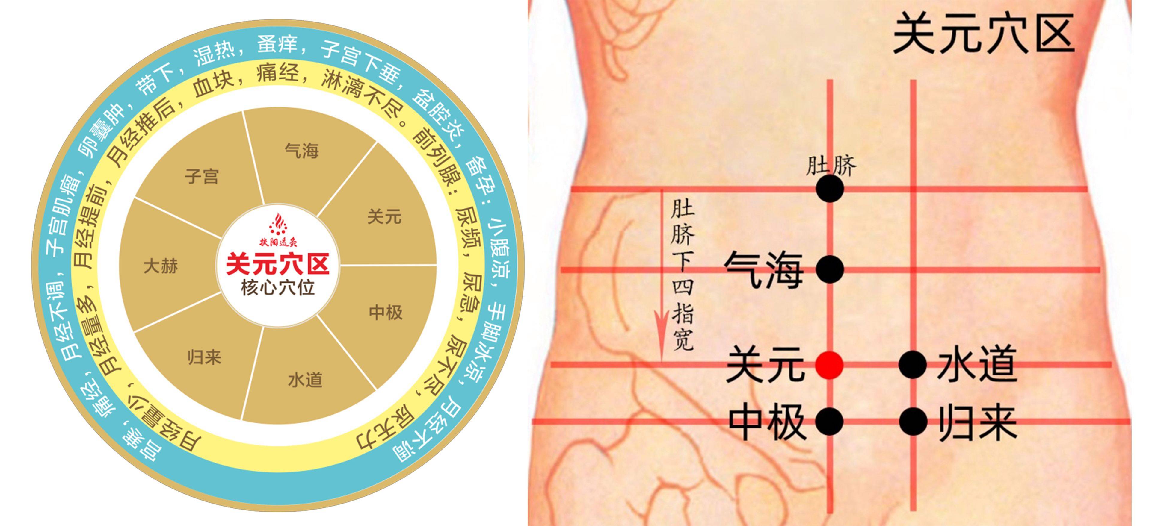 三伏天灸透这四穴