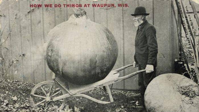 “宣传画”百年前美国式“浮夸风”宣传画：一个土豆上千斤，野兔比人还要大