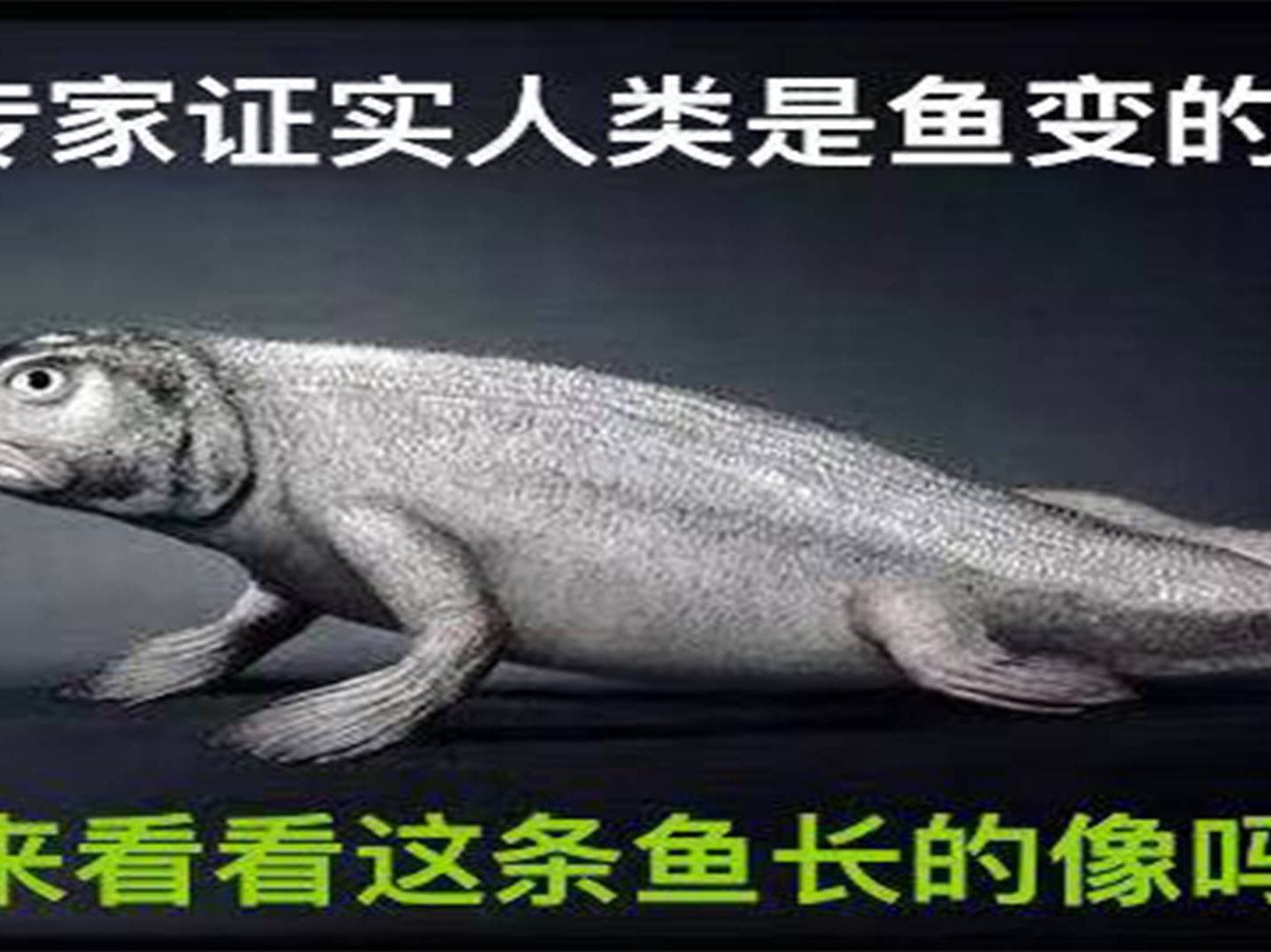 鲤鱼，曾经的“淡水鱼王”，如今为啥不受待见了？ - 知乎