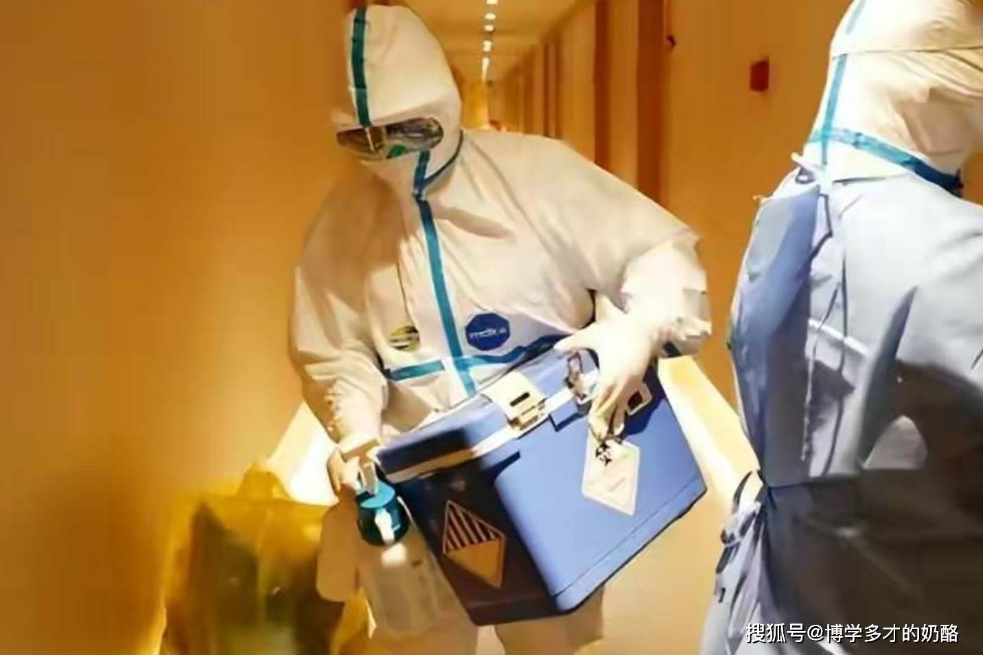 到底是谁在灌输“人人都要羊”的这个概念?_口罩_传播_所有人