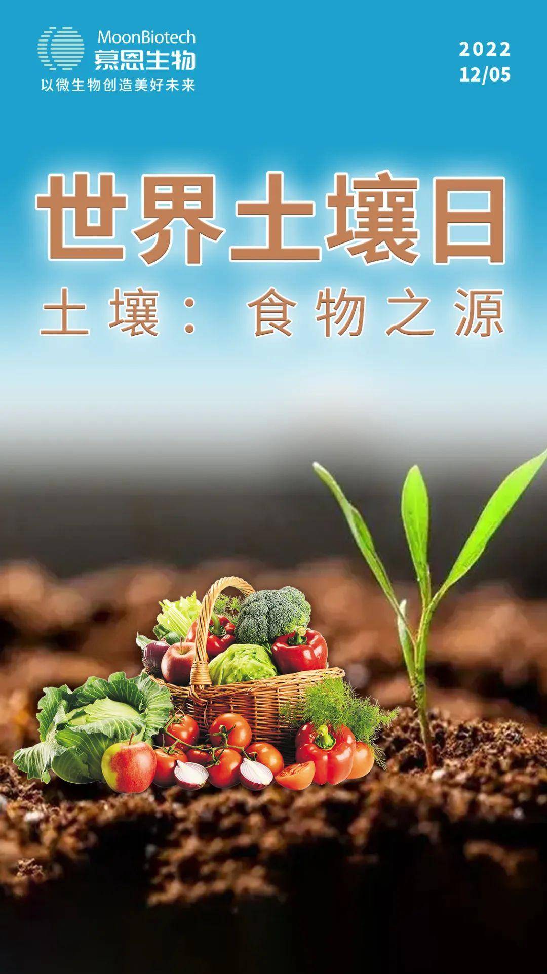 世界土壤日|沃土保食,守"土"你我有责_微生物_绿色植物_食物