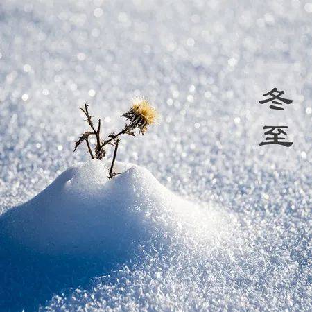 冬至防寒保暖保健诀窍_冬至祝福饺子送温暖_冬至祝福短信大全
