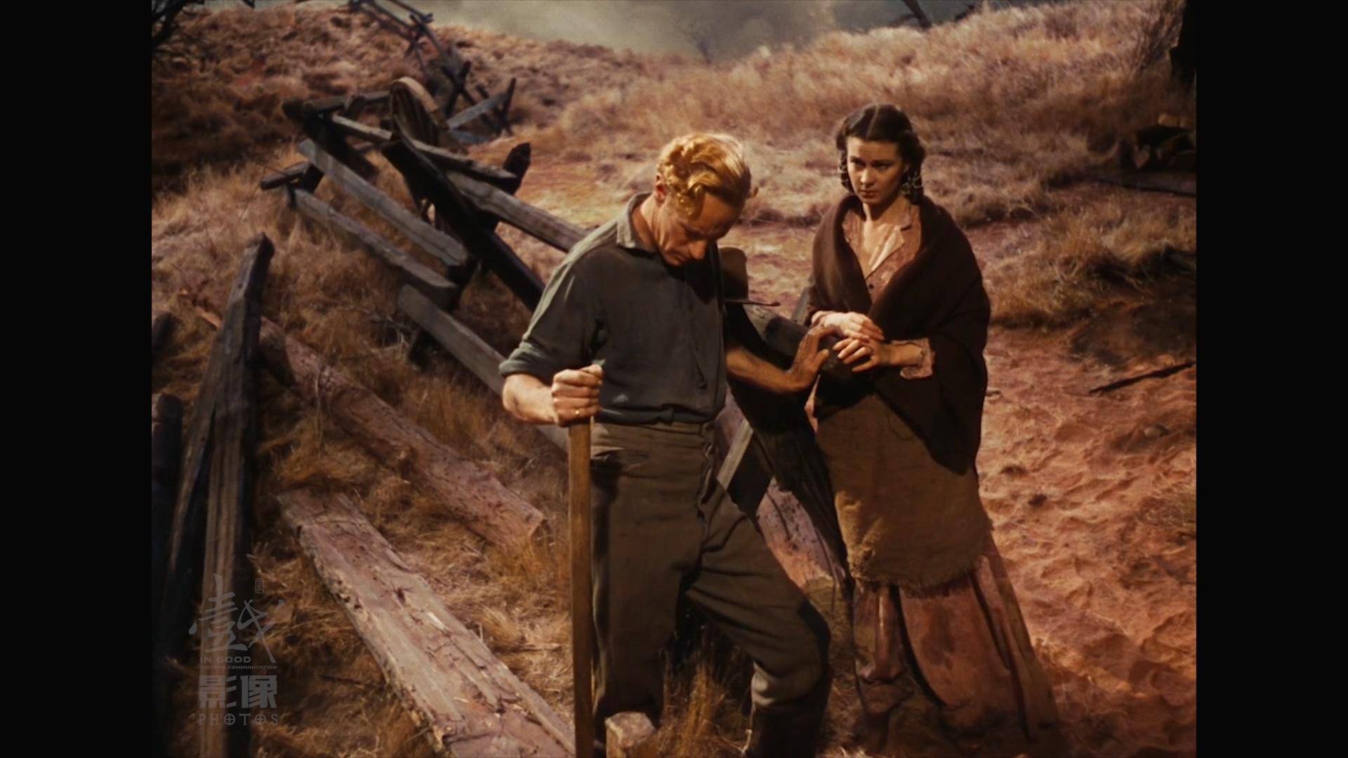 《乱世佳人》影史三大凄美爱情故事之一·隔离系列影评(七)_艾希_塔拉