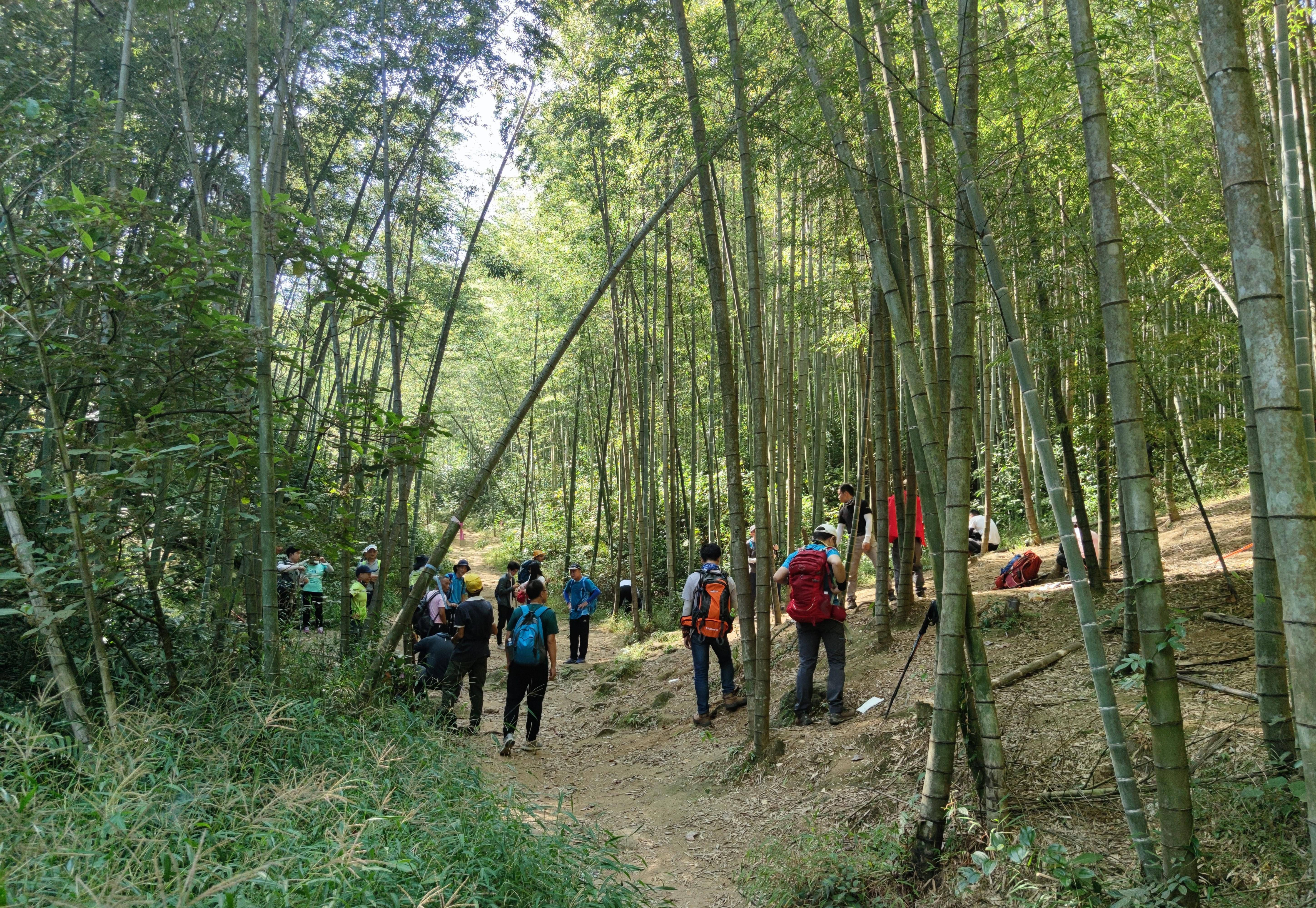 从化三角髻徒步线路图片