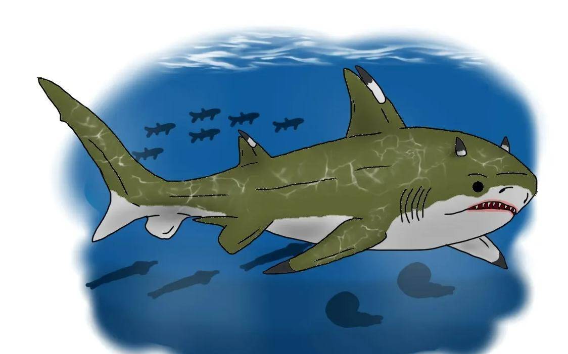 白垩刺甲鲨简笔画图片