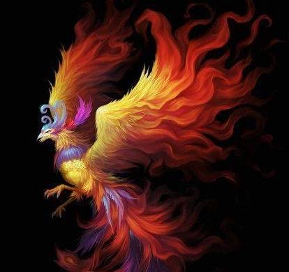 十二星座专属凤凰坐骑,巨蟹座高贵优雅,水瓶座很稀有!_事情_内心_感觉