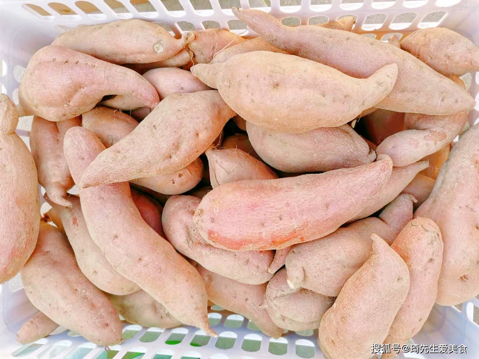 徐薯34红薯品种介绍图片