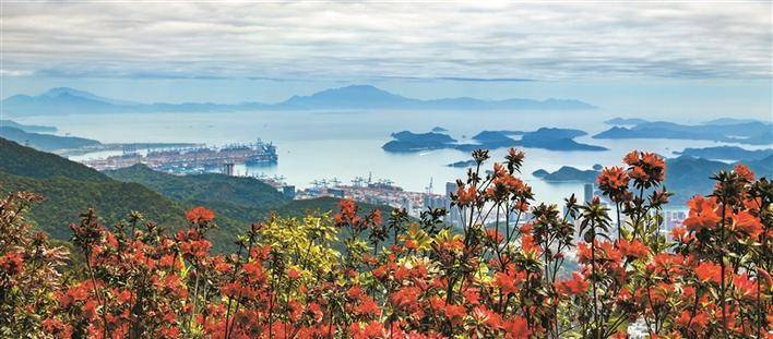 掠影山海看深圳_作品_摄影_城市