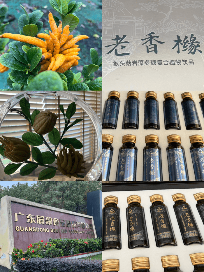 省级非遗老香橼,桔梗玉竹共渡疫.佛手果酒清香溢,官塘牛肉鲜活品.