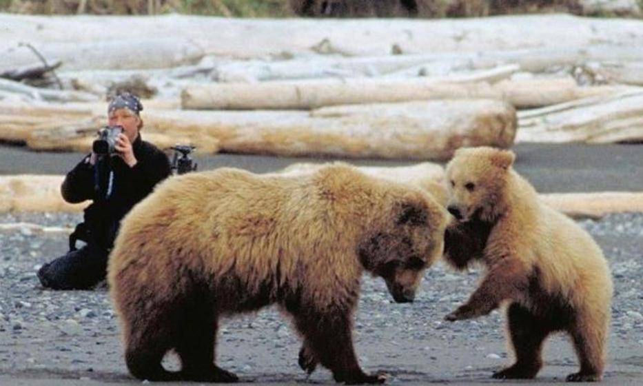 只余残骸,生前留6分钟绝命影像_灰熊_提摩西·_人们