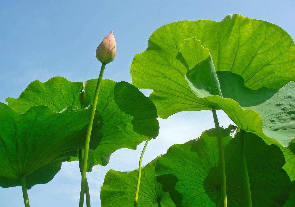 原创
  茅威涛拒绝央视春晚戏曲节目邀请 原因竟这样 第8张